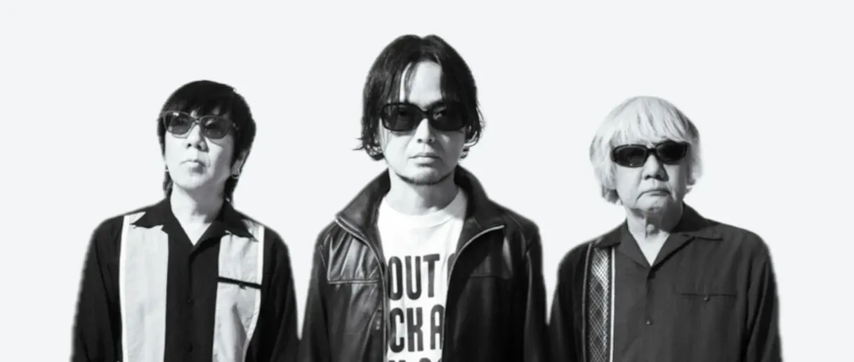 Thank you, the pillows main image