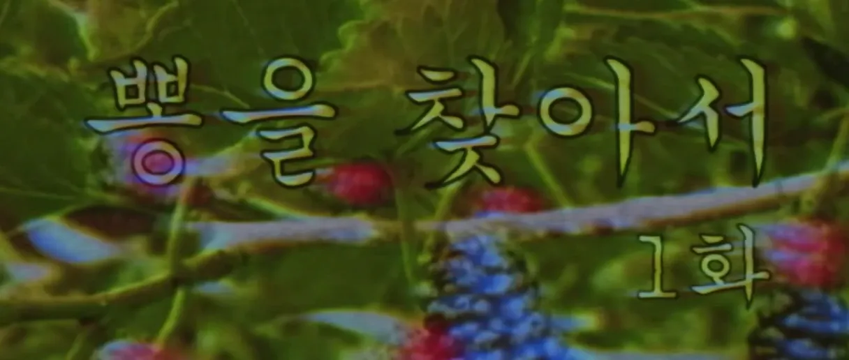 “뽕끼가 사라졌다!” main image
