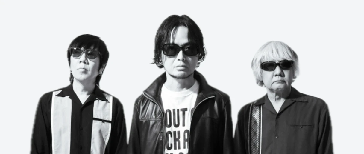 Thank you, the pillows main image
