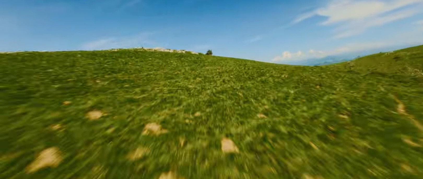 에스테틱을 입는 케이팝 image10