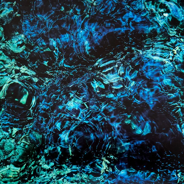 main image of 아오바 이치코 <Luminescent Creatures> - 무언의 머물기
