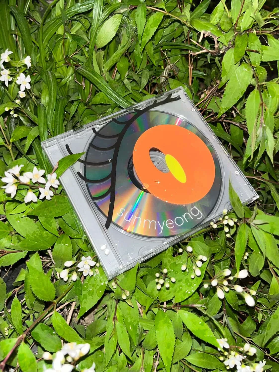 편안한 목소리로 퍼붓는 폭설, '선명' image3